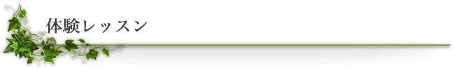 体験レッスン